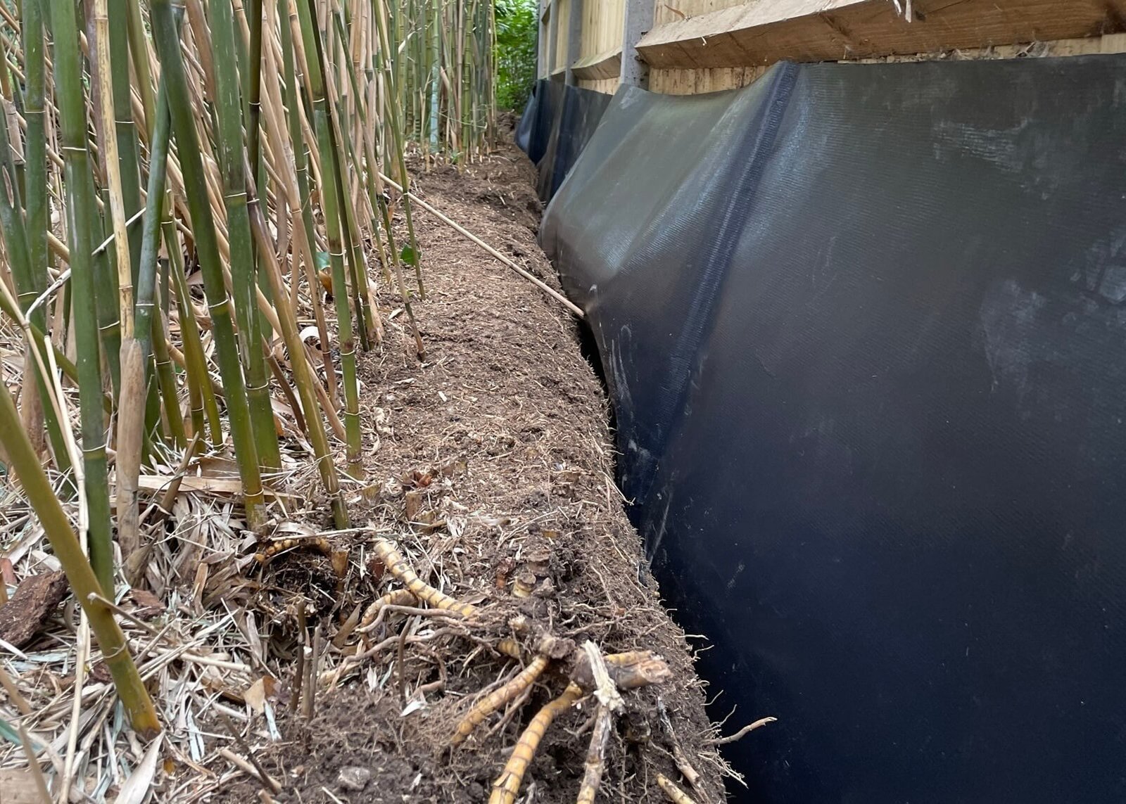 Root Barriers Made of HDPE: A Complete Overview - Houston Texas ...